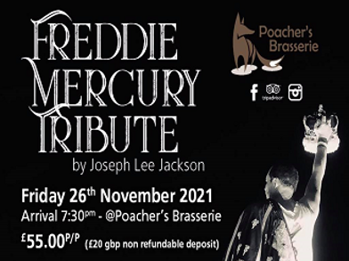 Freddie Mercury Tribute Resized
