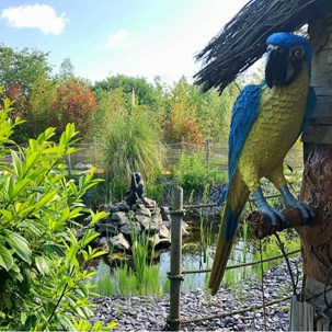Parrot figure at Blaby Adventure Golf course