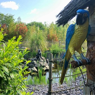 Parrot figure at Blaby Adventure Golf course