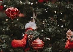 Cosby Christmas Tree Festival and Market