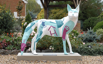 Fosse Fox