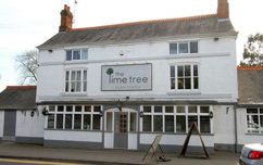 The Lime Tree