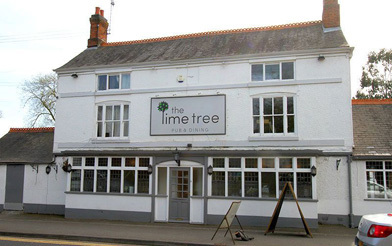 Lime Tree