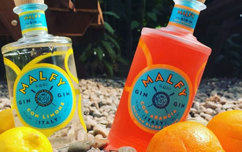 Bakers Arms Gin Festival