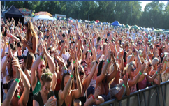Festival In The Pit