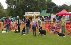 Braunstone Town Summer Fete