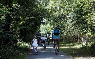 Cyclists in the park