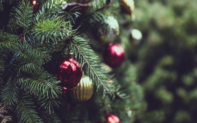 Christmas tree1