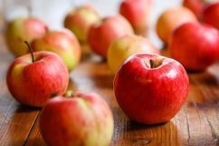 Braunstone Town Apple Day