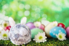 Easter Quilling Workshop