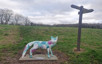 Fosse Fox At Countesthorpe Country Park 3