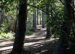 Bouskell Park Archaeology