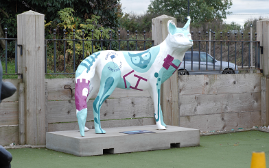 Fosse Fox Congo River Adventure Golf