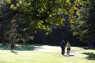 Image of two people walking in the park