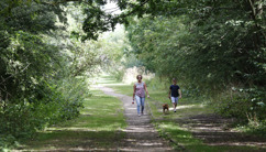 Crow Mills Way Trail