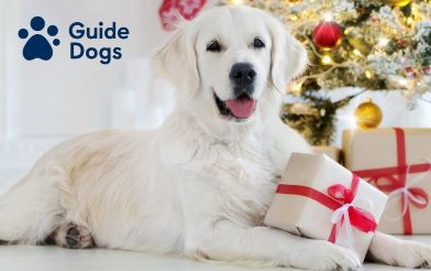guidedogschristmas