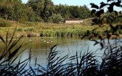 Fosse Meadows