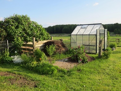 Garden Allotment